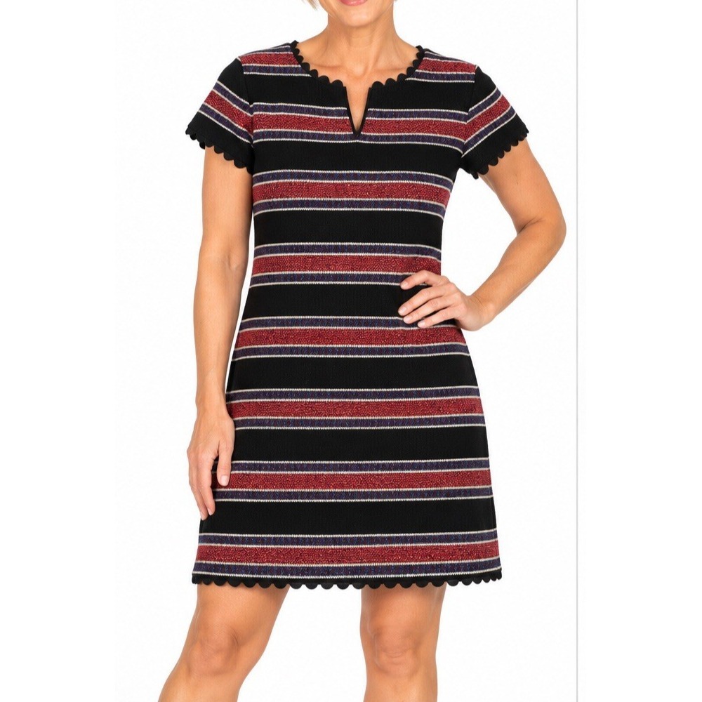 VTG Sara Campbell Short Sleeve Lined Black Striped Dress Size 2 USA